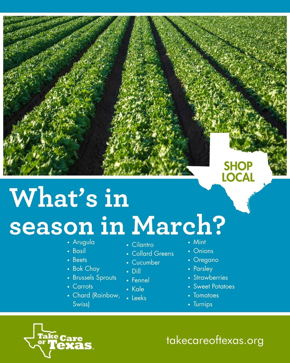 Take Care Of Texas tweet media