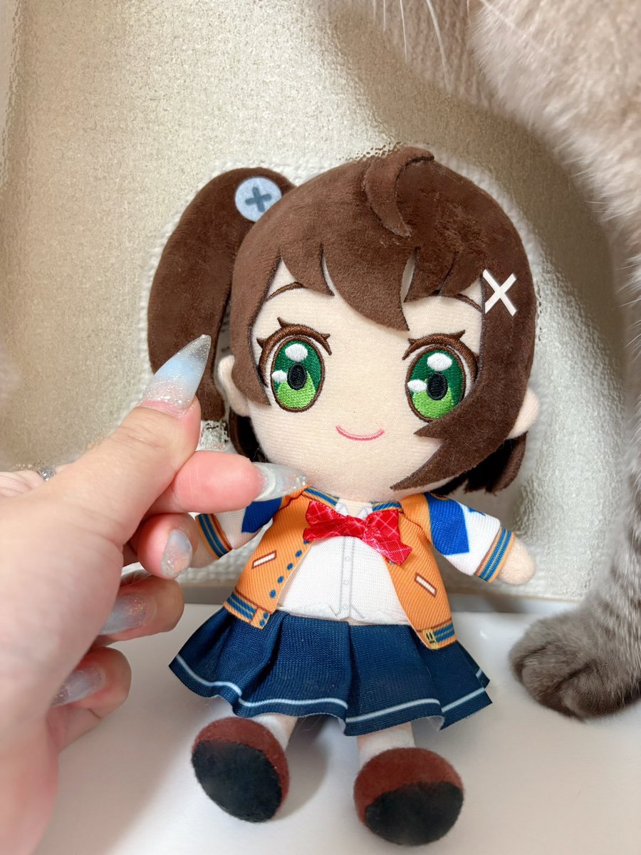 蔀 祐佳 tweet media