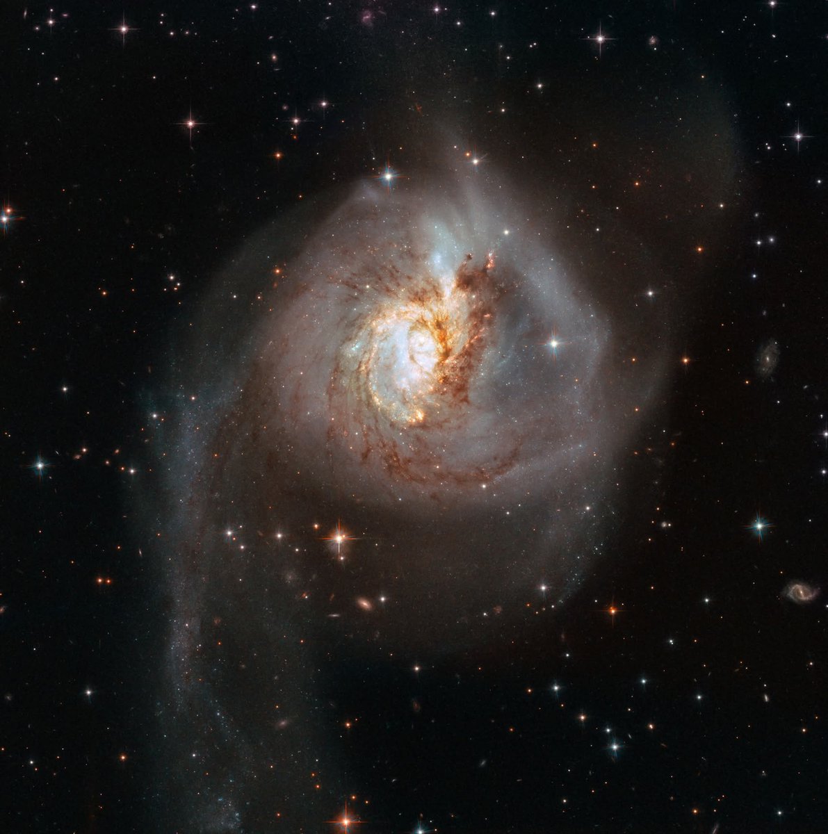 konstructivizm's tweet photo. A striking galactic remnant!

NGC 3256 is the product of two galaxies colliding, located in the constellation Vela roughly 122 million light-years distant, within the Hydra–Centaurus Supercluster.

(Credit: ESA/Hubble, NASA) https://t.co/h0HTha7Ab4