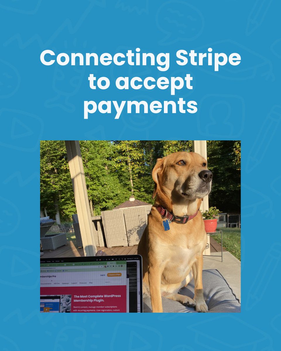 Nugget @ PMPro tweet media