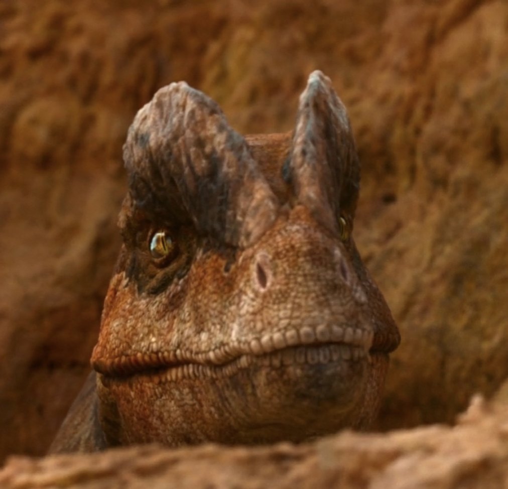 paleOelaq tweet media