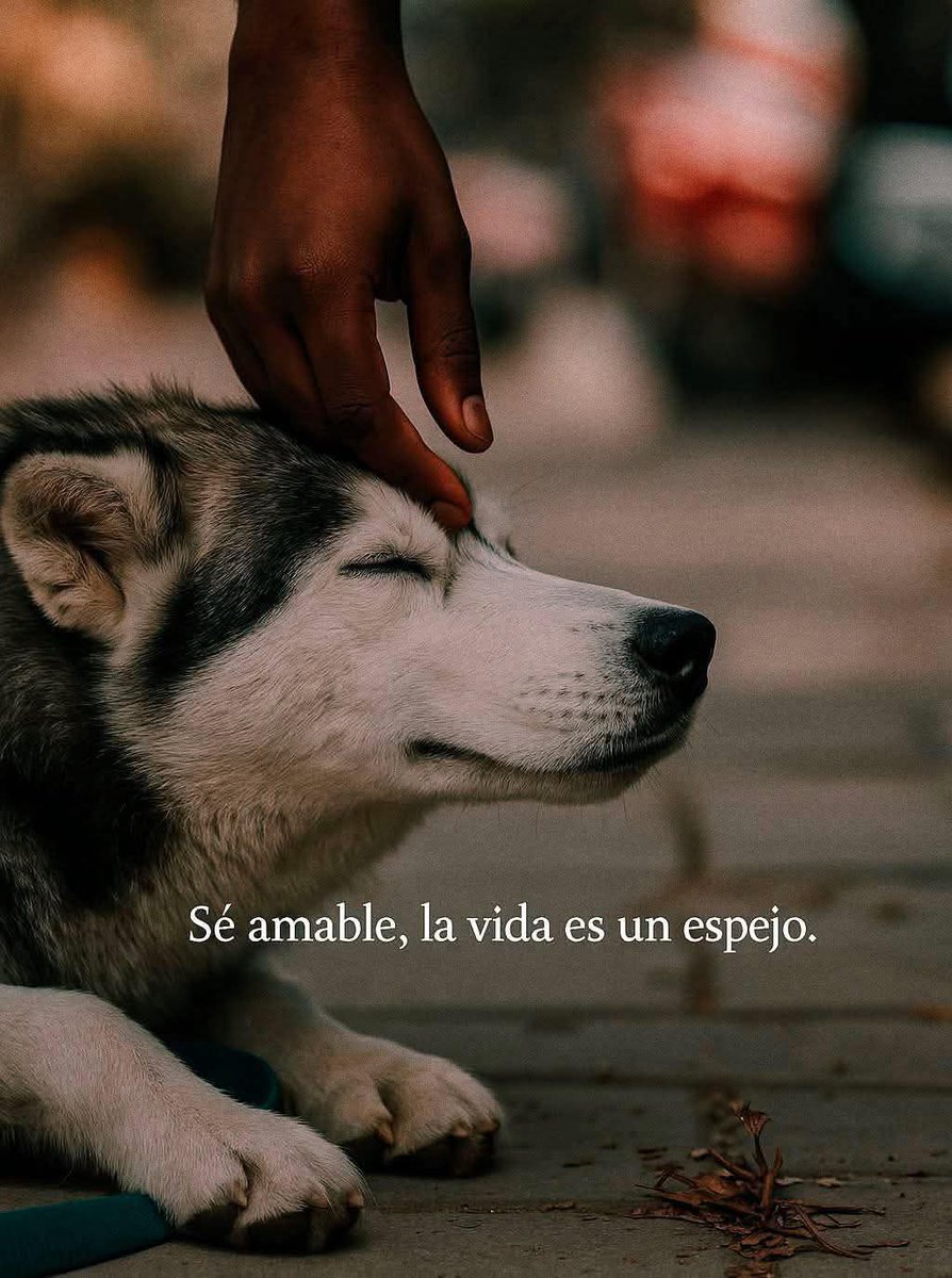 Sabueson tweet media