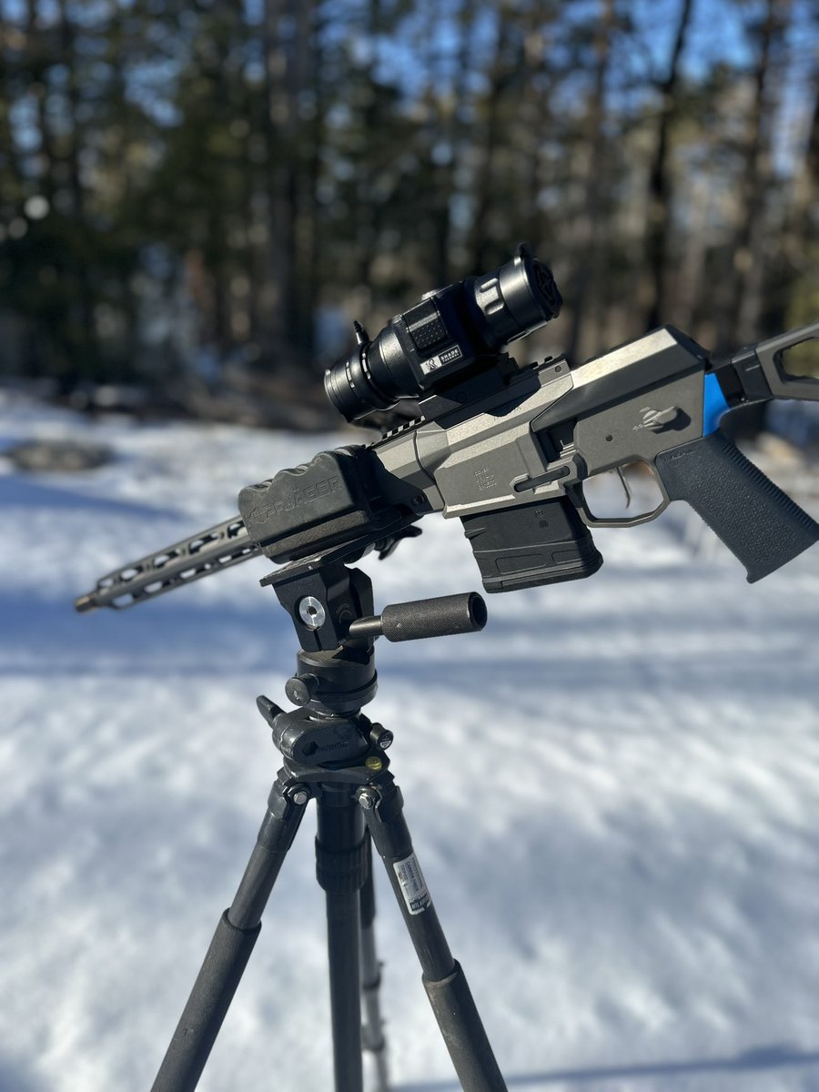 LordOfWar tweet media