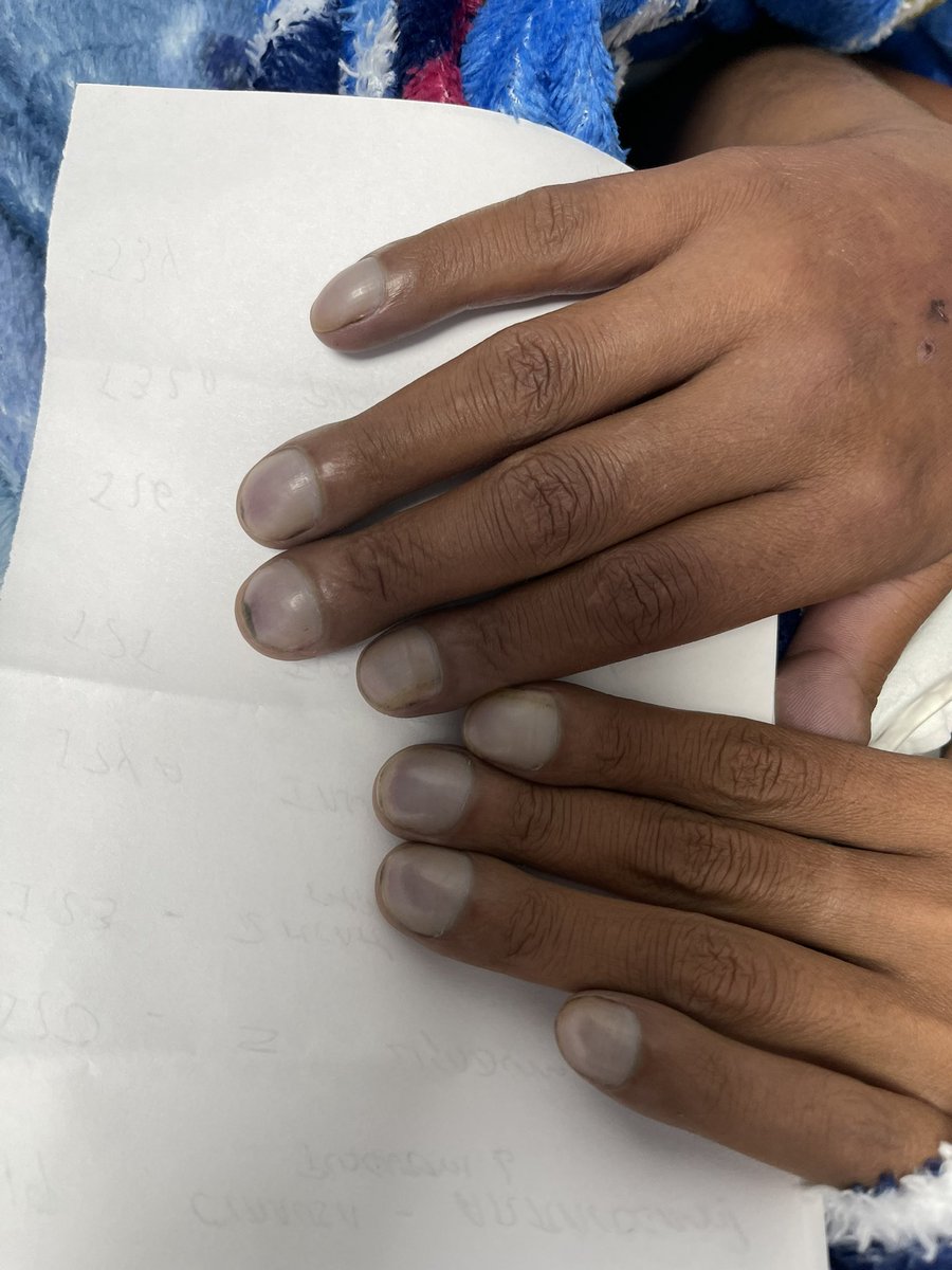 Dr. MAURICIO BERNAL. tweet media