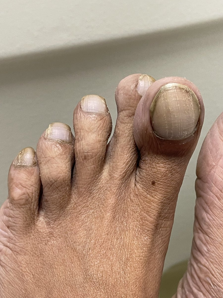 Dr. MAURICIO BERNAL. tweet media