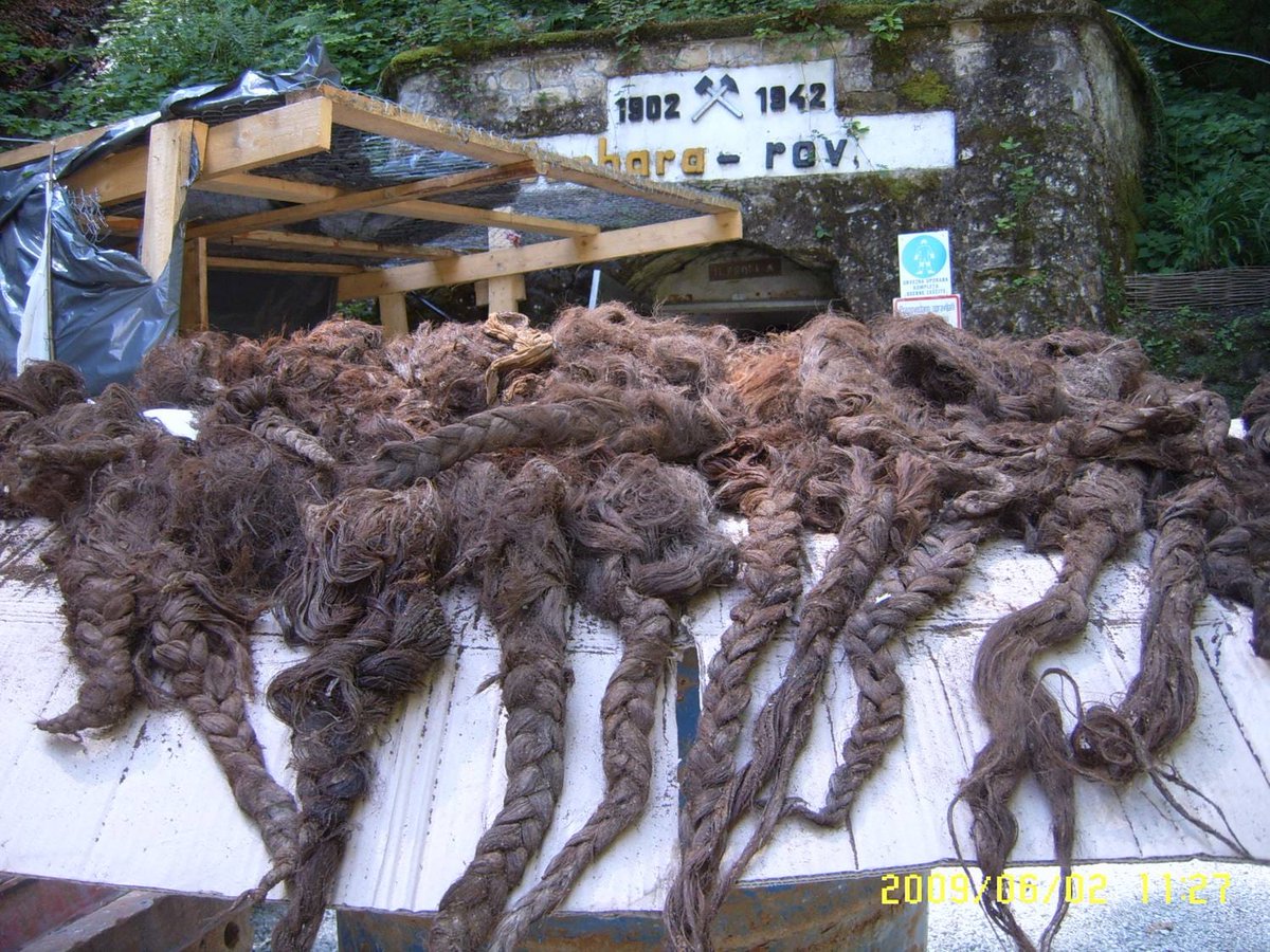 Janez Turinek tweet media