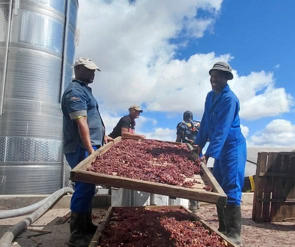 Namaqua West Coast tweet media