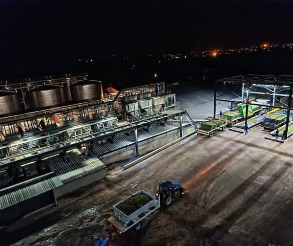 Namaqua West Coast tweet media