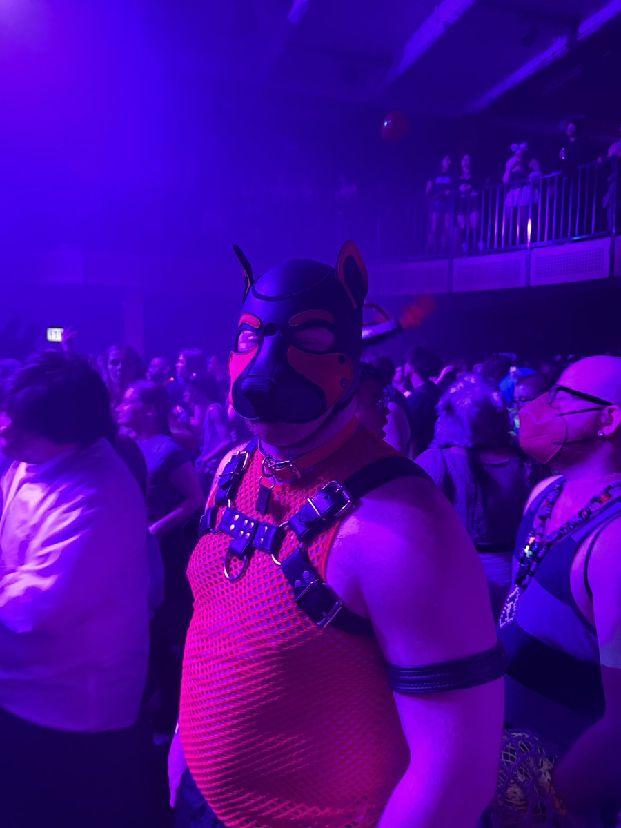 Xander ❤️🩷 tweet media