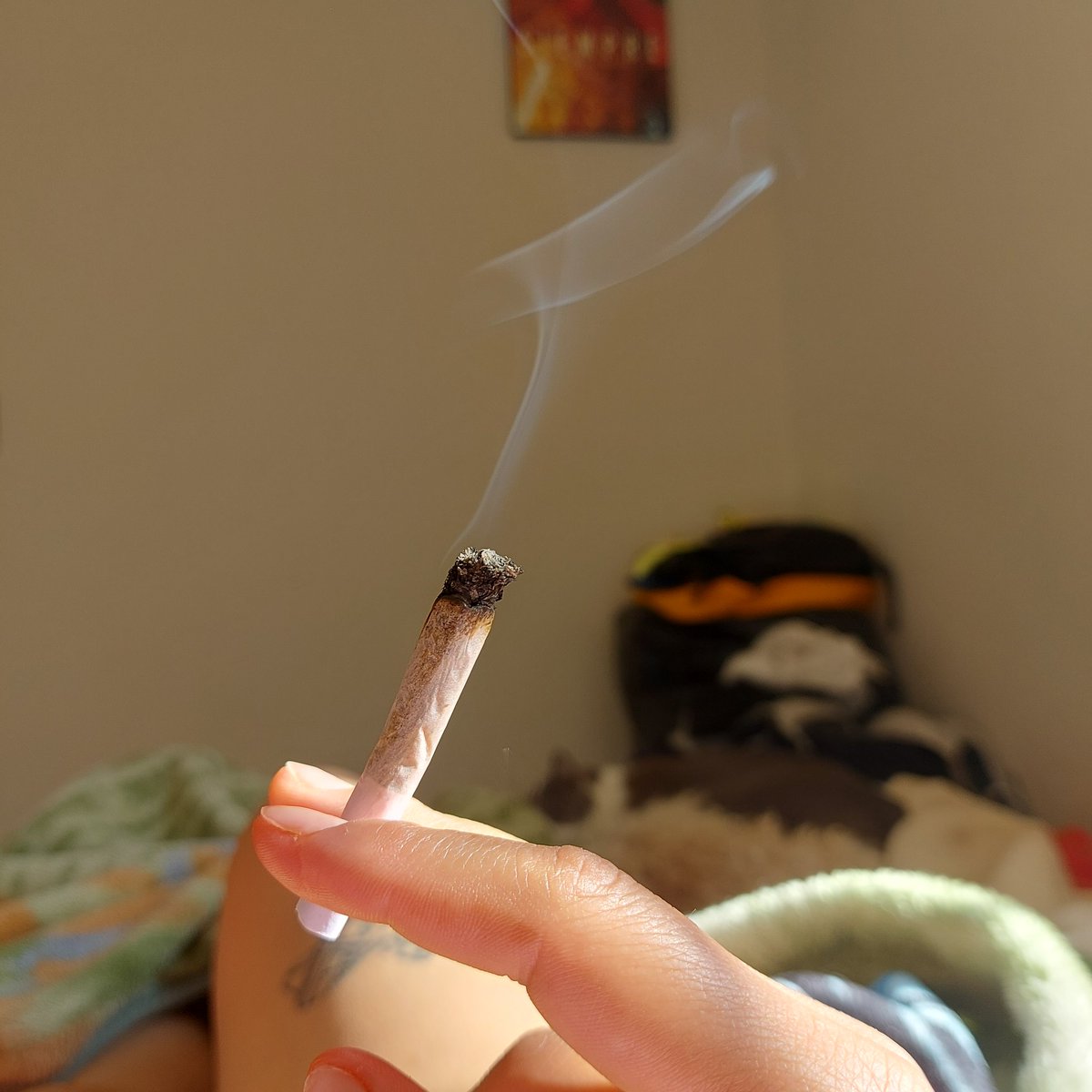 Domingo de porrito mañanero. ❤️‍🩹