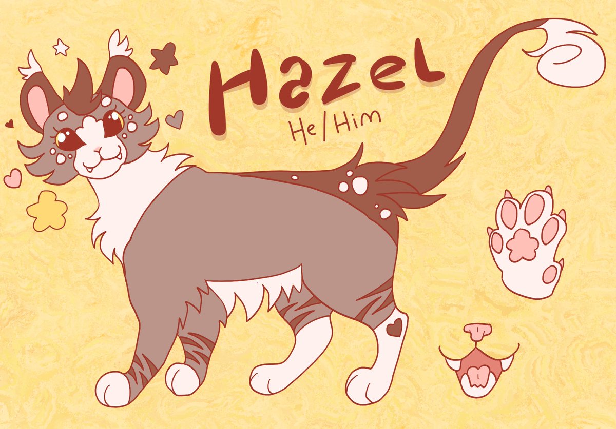 WhiskerTheory's tweet photo. Hazel, the protagonist of Whisker Theory. These are his natural colors!! https://t.co/Rb69V8BUFW