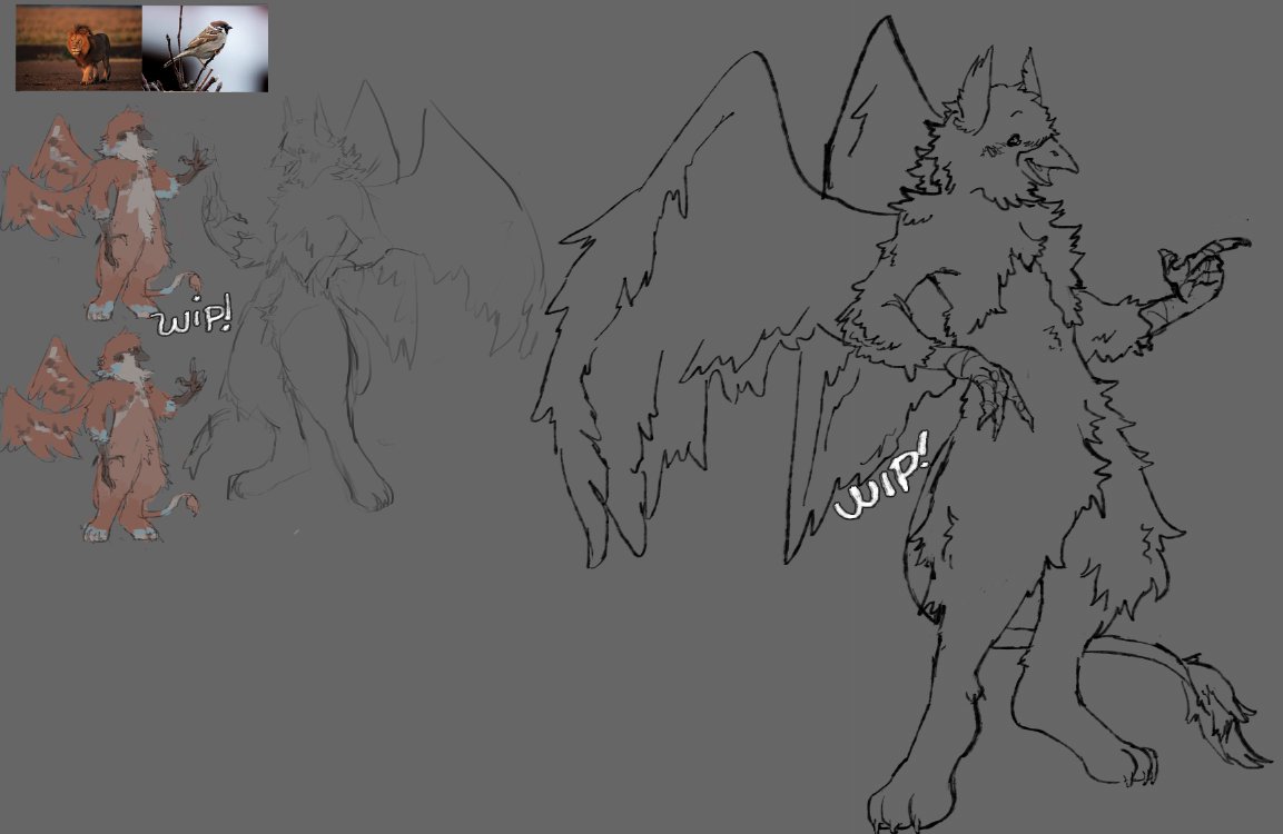 Conzê Supimpa 🪶 ICON COMMS (4/7) tweet media