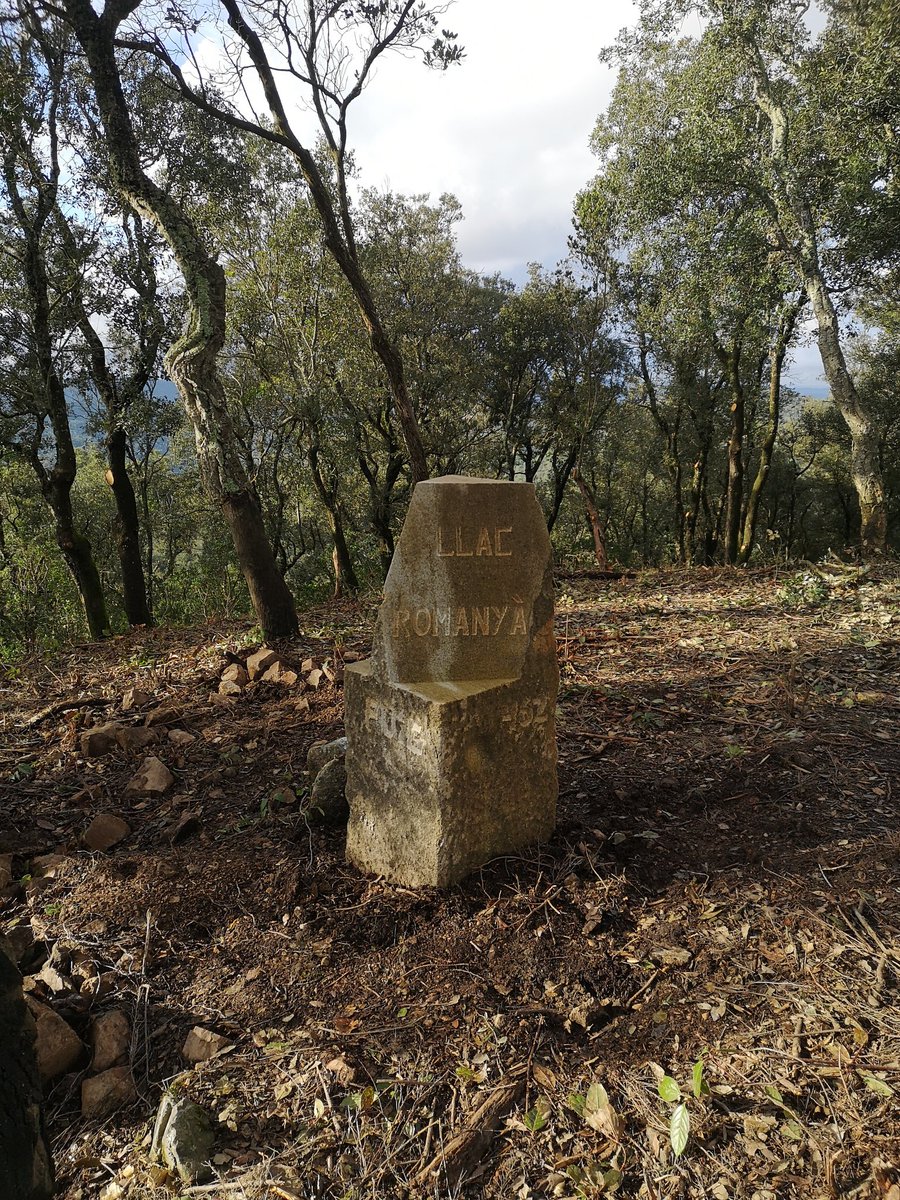 Aleix Monguillot tweet media