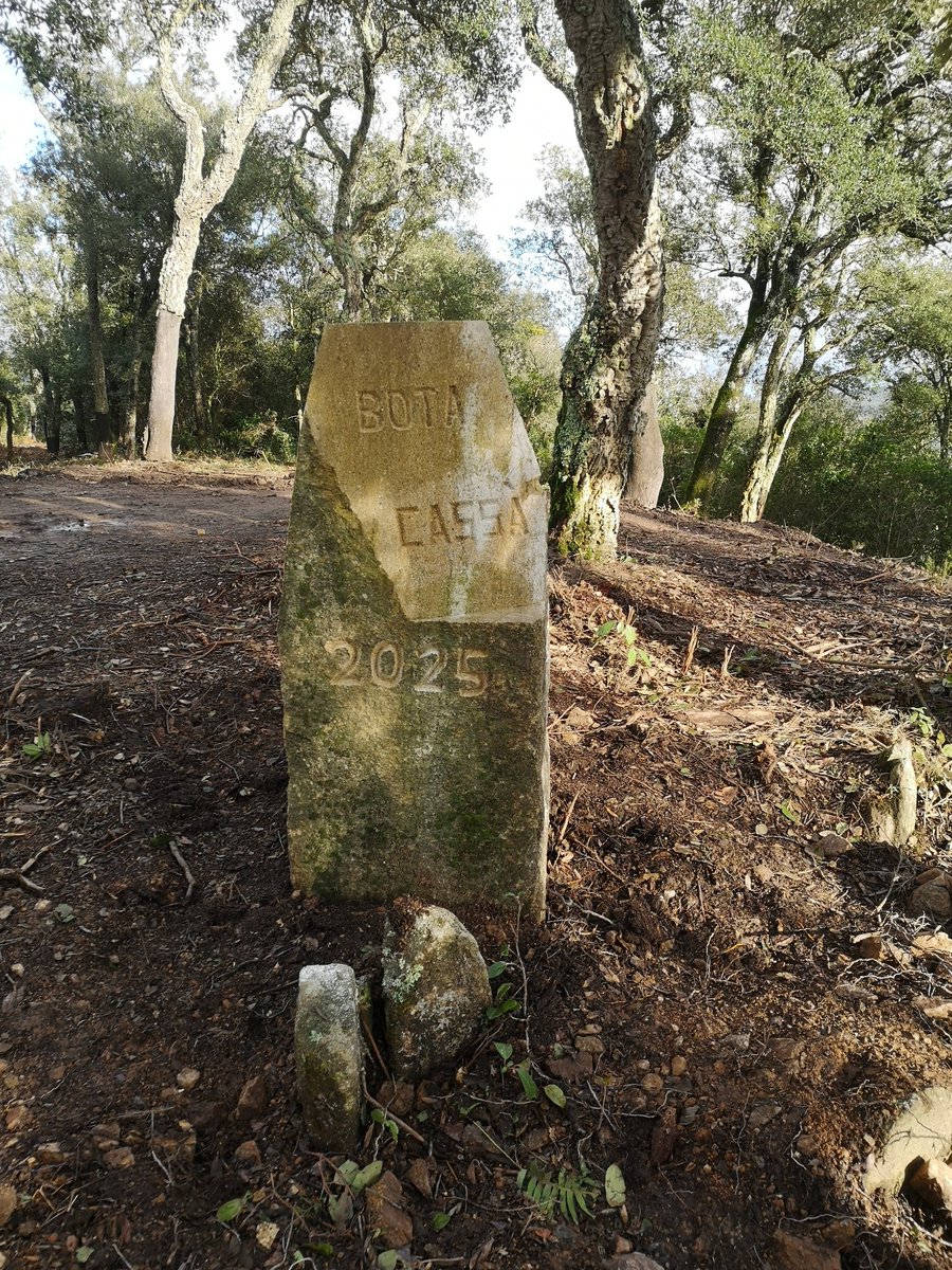 Aleix Monguillot tweet media