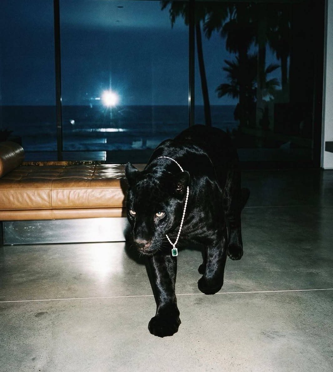 hard everything (@hrdevrythng) on Twitter photo 