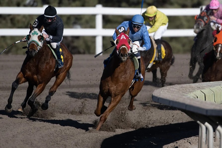 travis stephens tweet media