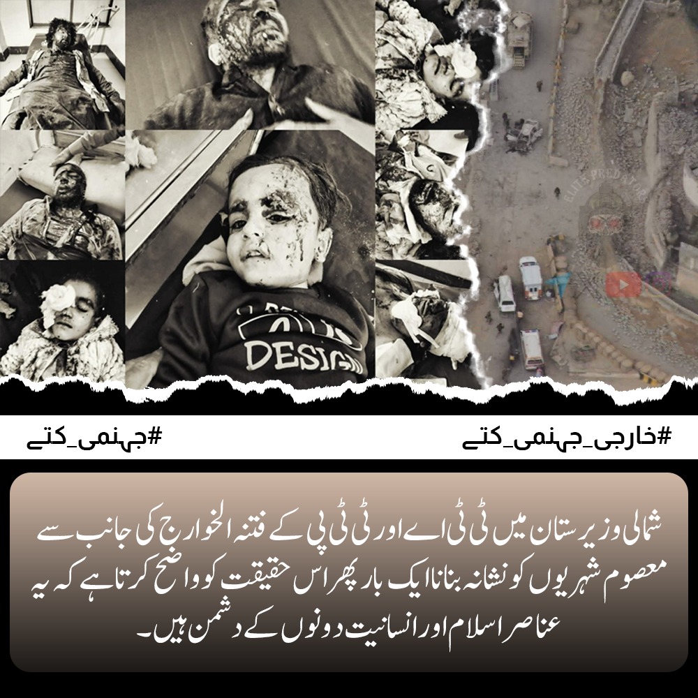 Zunaysha Fatima tweet media