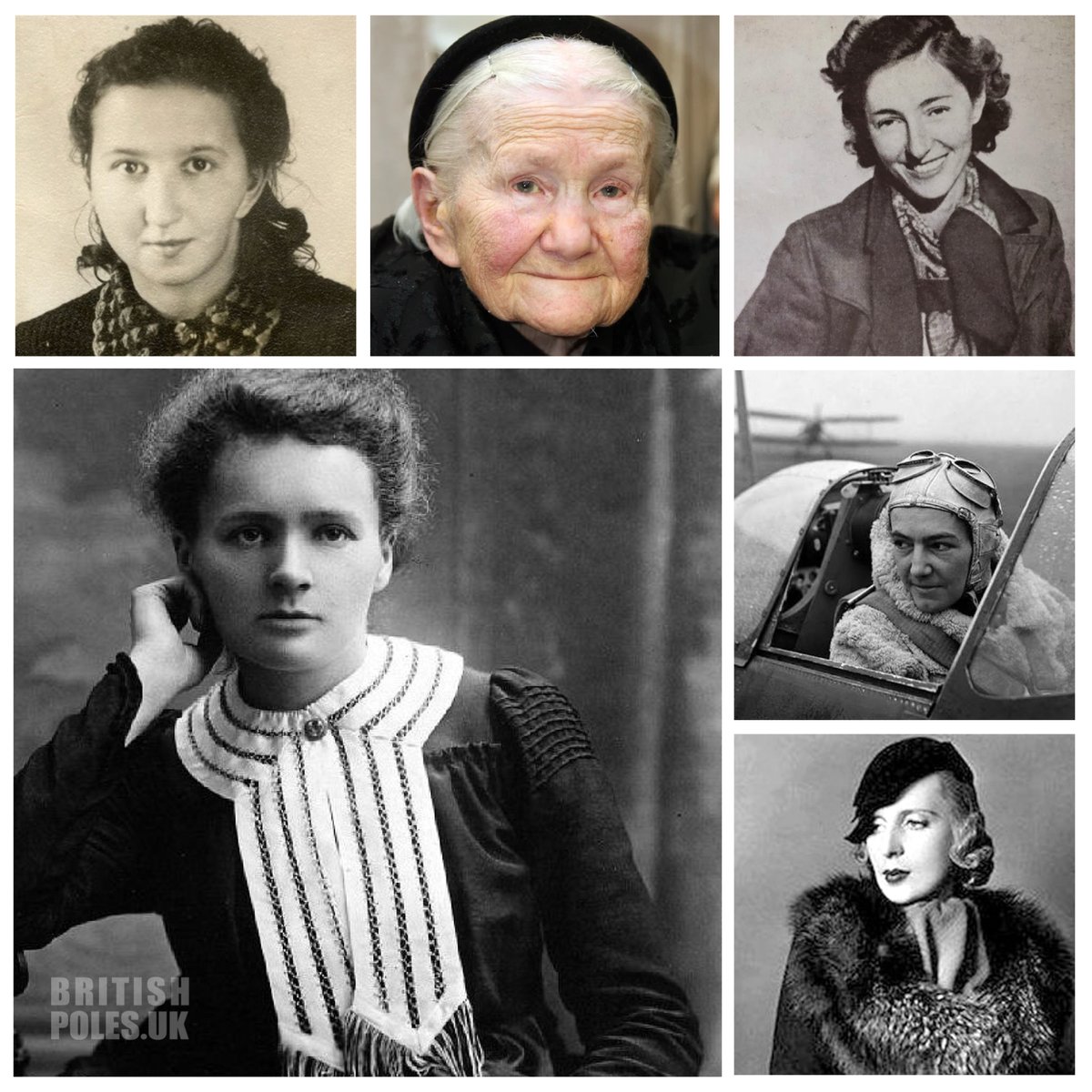 British Poles tweet media