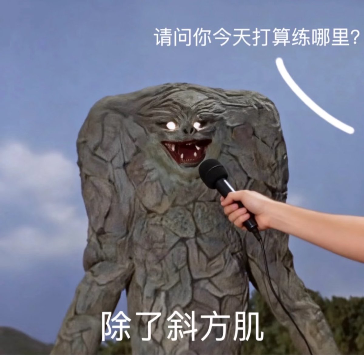 静电⚡十万伏特 tweet media