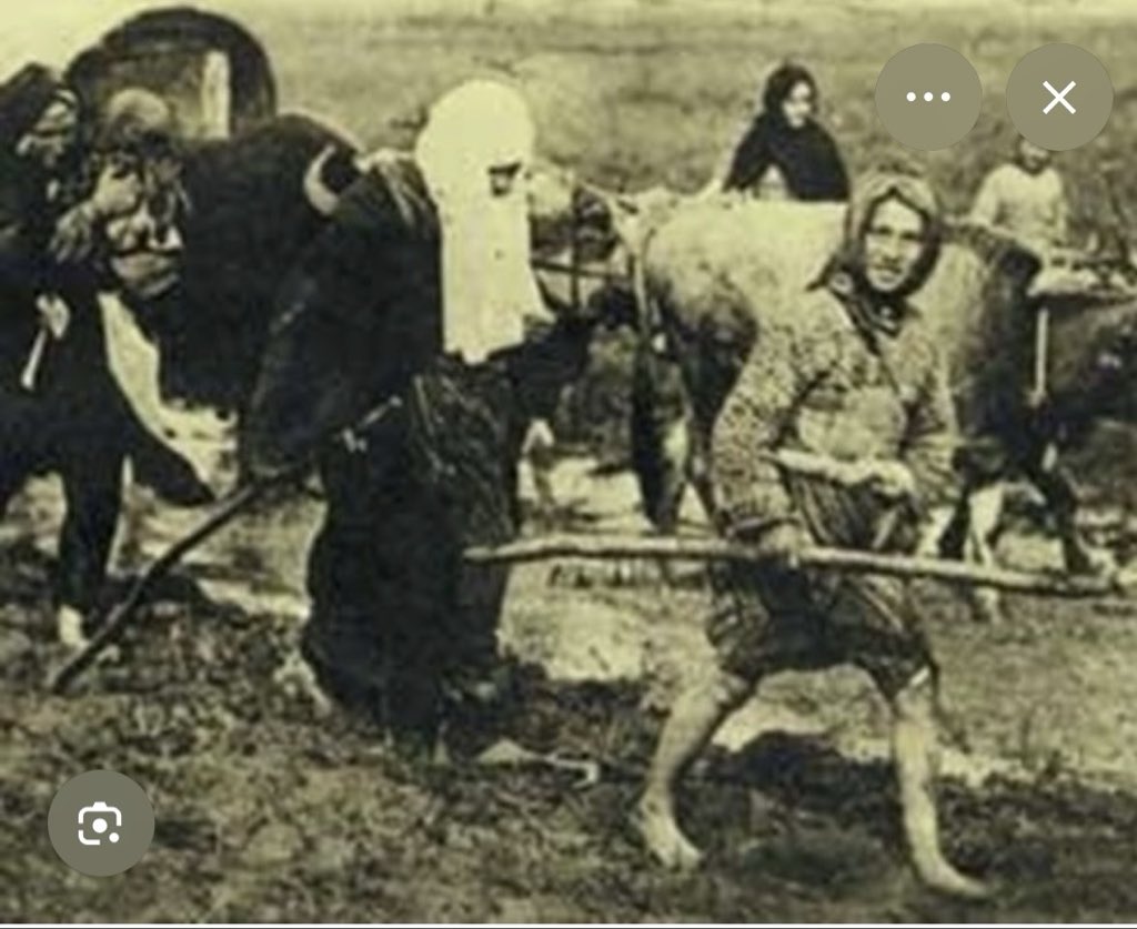 Yusuf Halaçoğlu tweet media