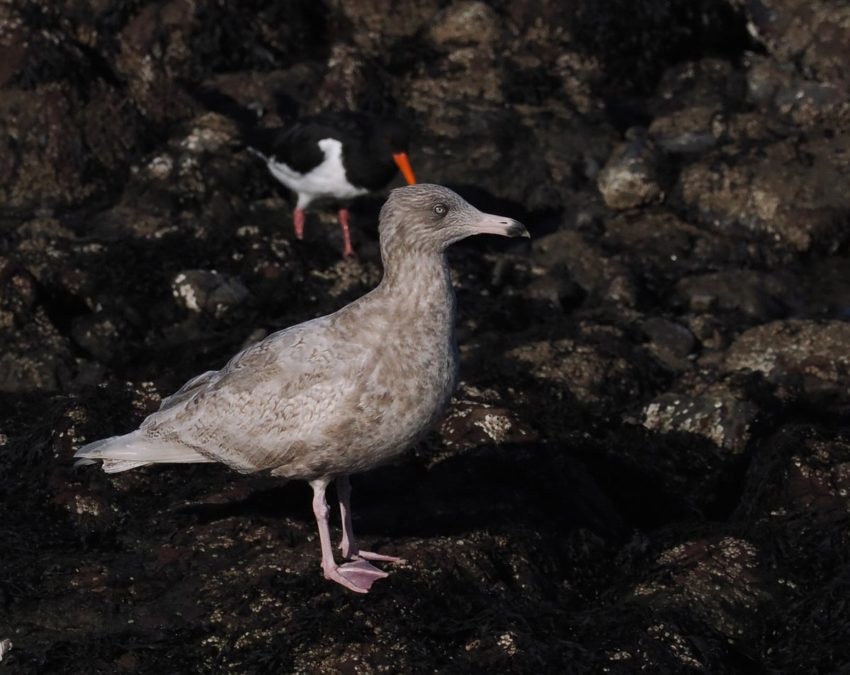 Andrew Whitehouse tweet media