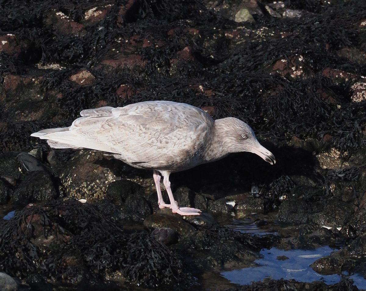 Andrew Whitehouse tweet media