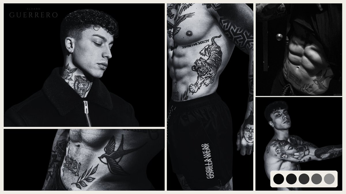 ฮฌlvฮฑro tweet media