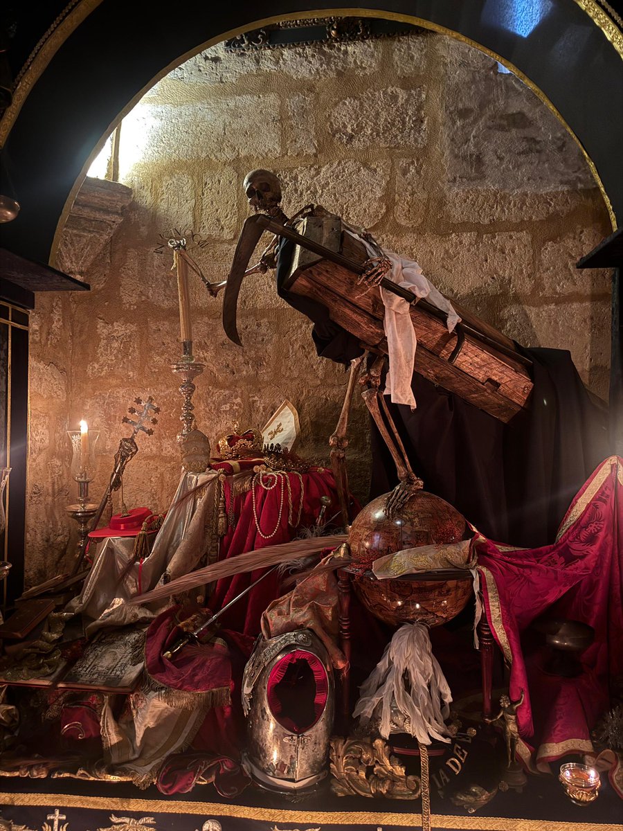 F O R T I S S I M A tweet media