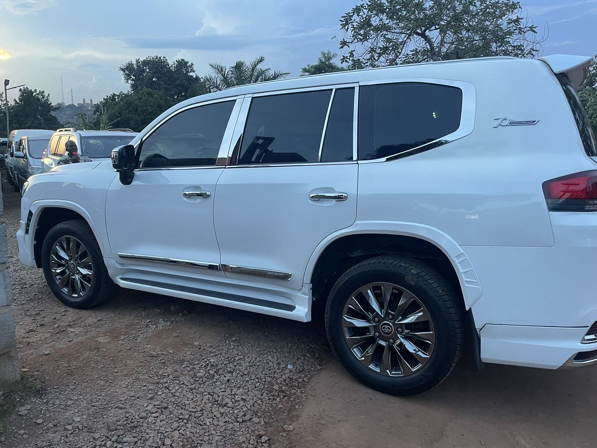 CK INVESTMENT tweet media