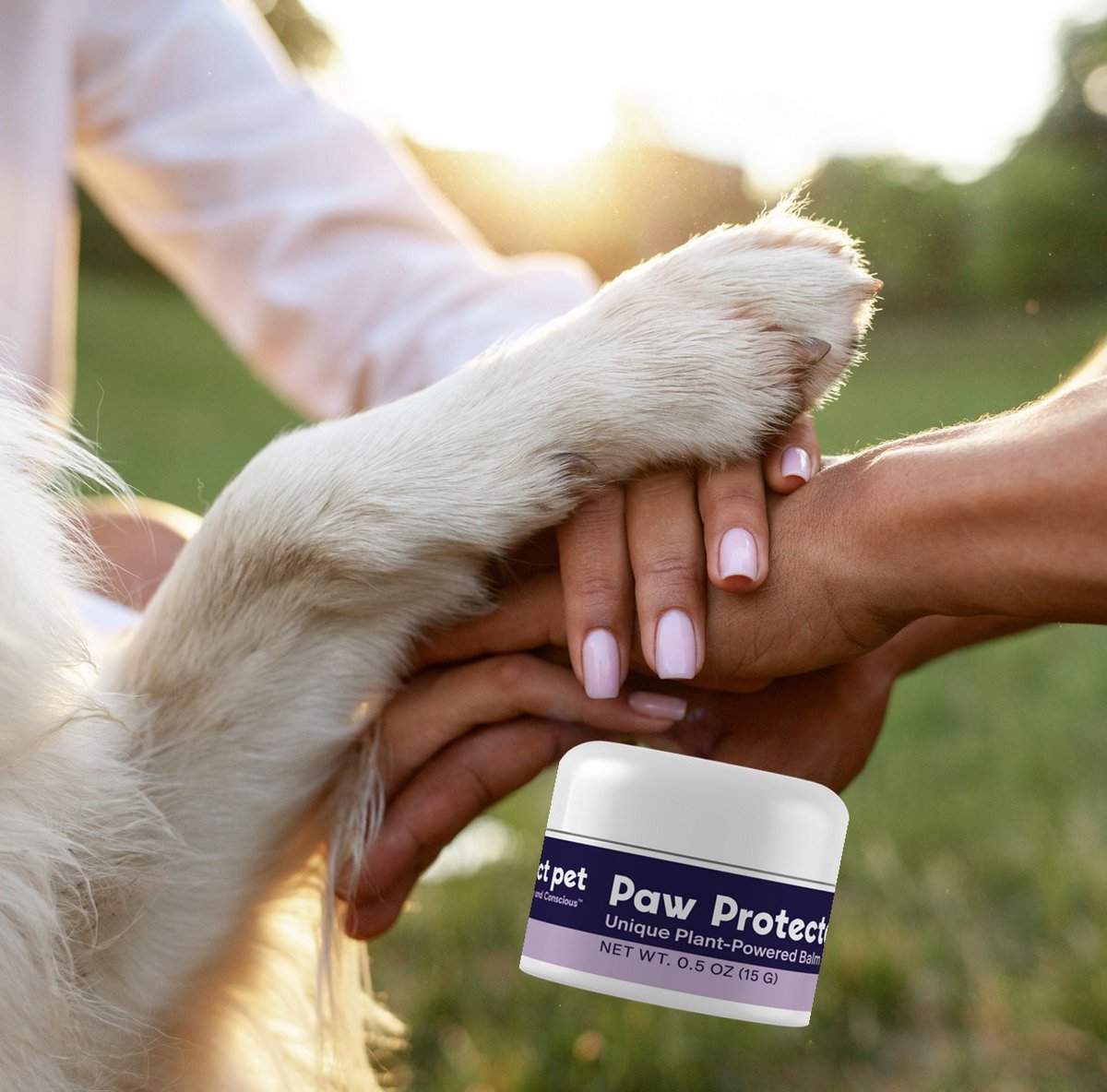ProspectPet's tweet photo. Pamper their paws with pure protection🐾 https://t.co/aM8Gpm5fEw