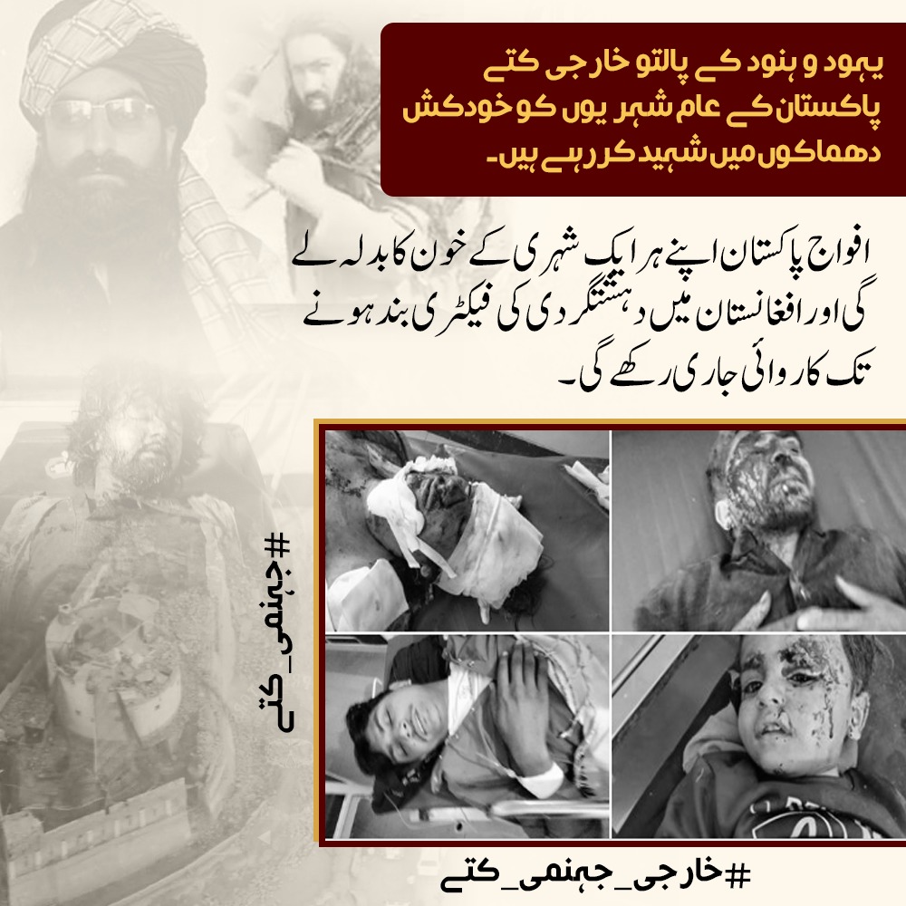 Zunaysha Fatima tweet media