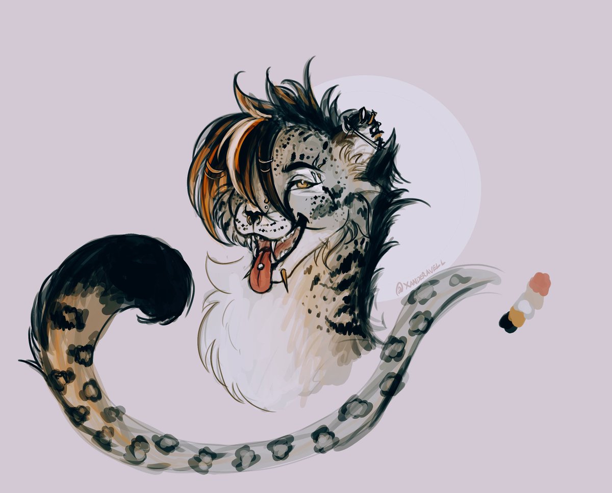 Xander 𑄝 tweet media