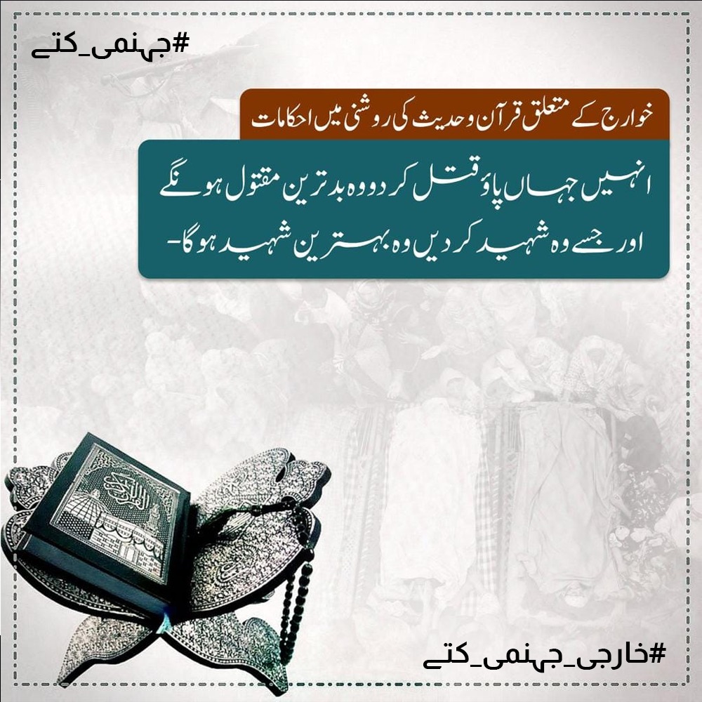 Zunaysha Fatima tweet media