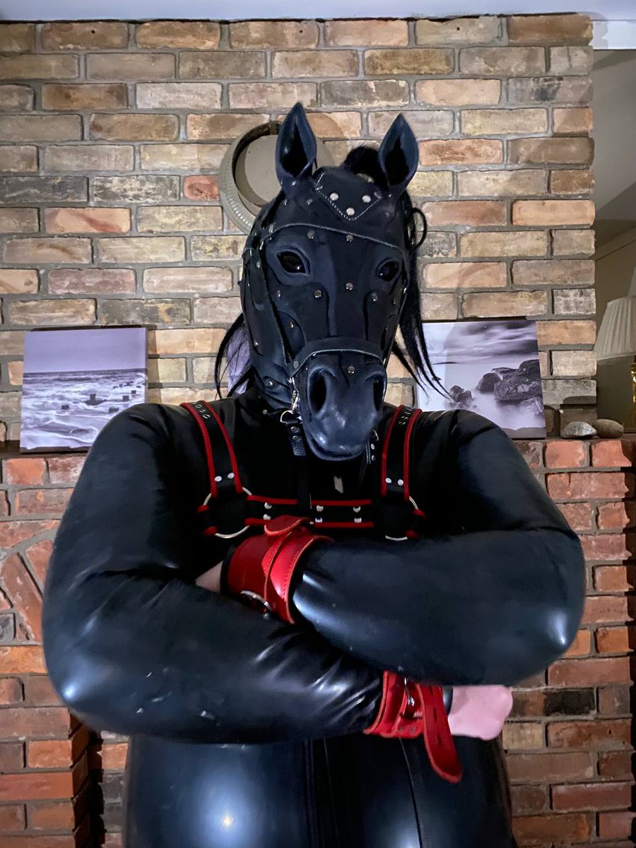 Horny Rubber Horse tweet media