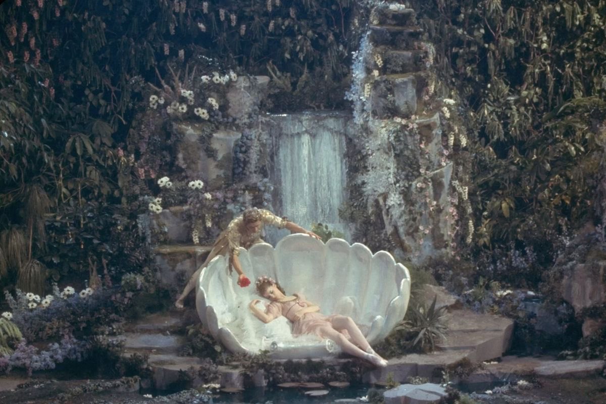 𝐿𝑢𝑐𝑒𝑟𝑜 𝑑𝑒𝑙 𝑎𝑙𝑏𝑎*ੈ✩‧₊˚ tweet media