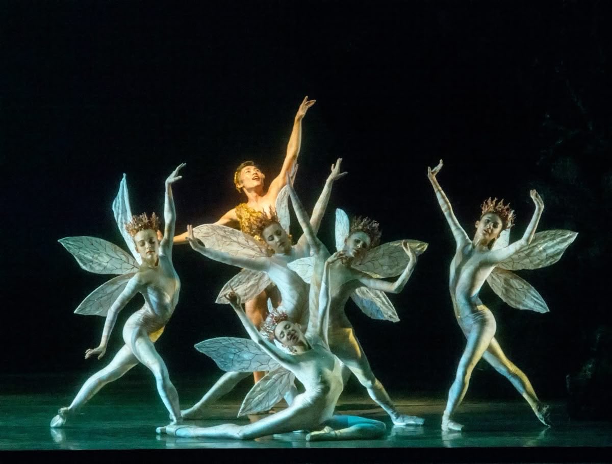 𝐿𝑢𝑐𝑒𝑟𝑜 𝑑𝑒𝑙 𝑎𝑙𝑏𝑎*ੈ✩‧₊˚ tweet media