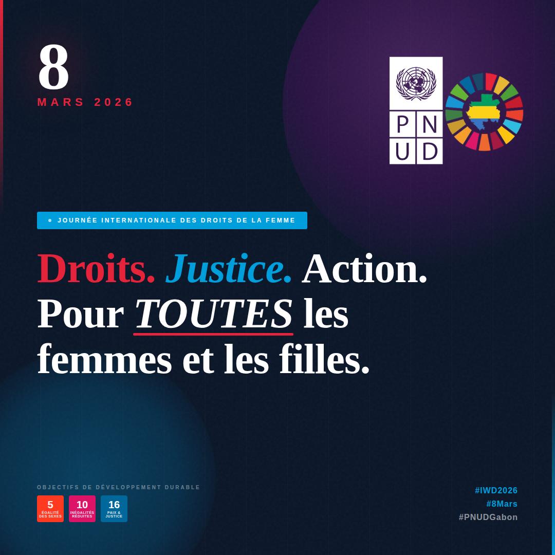 PNUD GABON tweet media