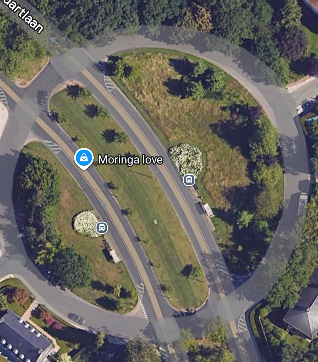 Simone - @simpalla.bsky.social tweet media