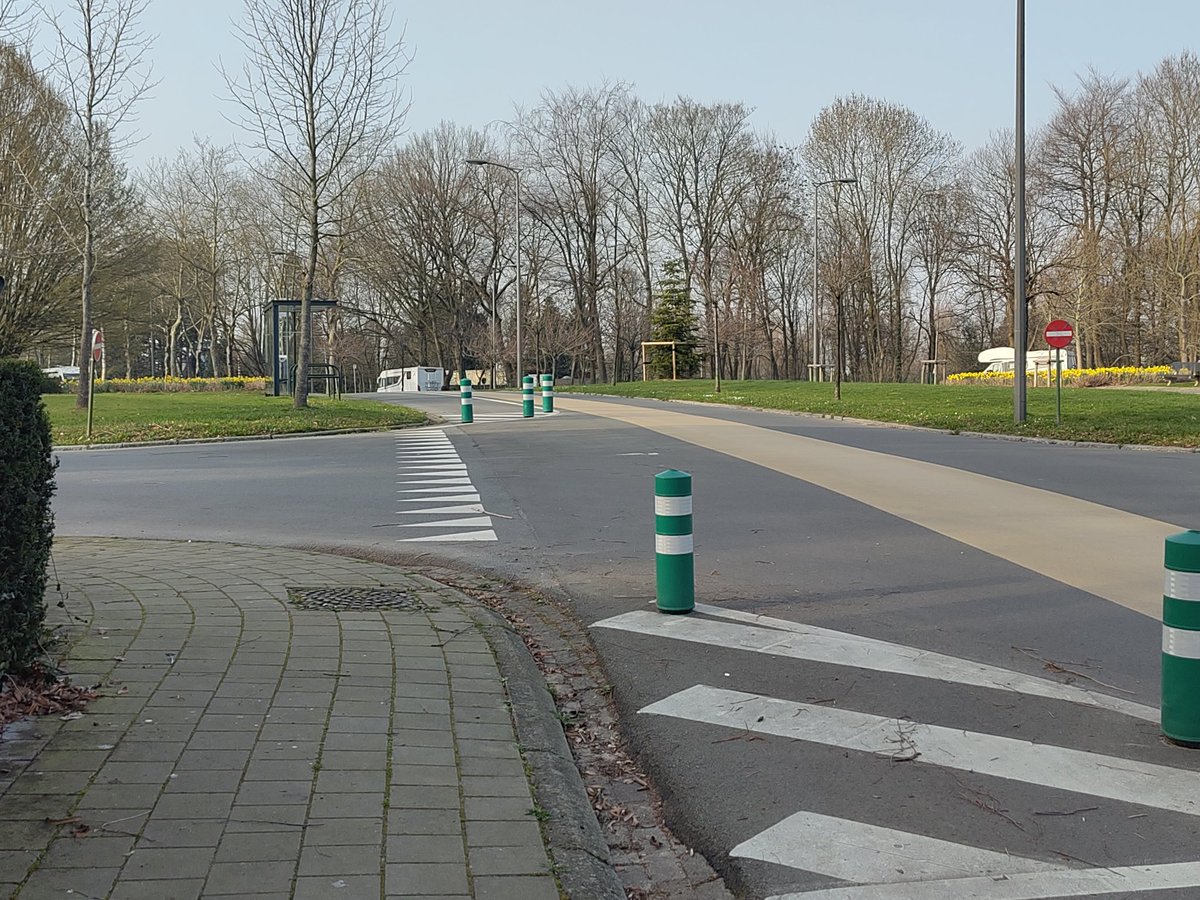 Simone - @simpalla.bsky.social tweet media