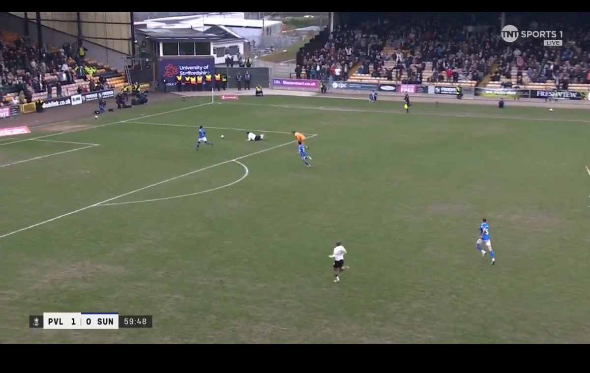 William Ireland tweet media