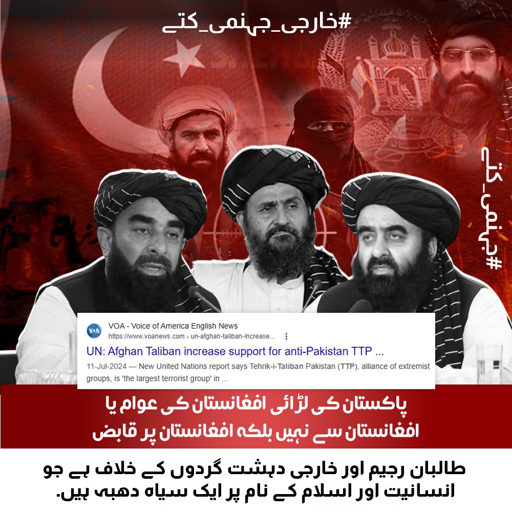 Zunaysha Fatima tweet media