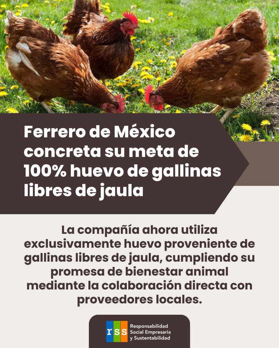 RSE y Sostentabilidad tweet media