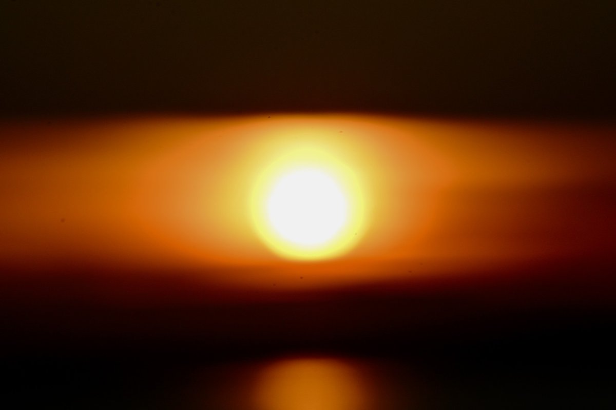 Harry Thomas - Actor, Author and Video Producer. tweet media