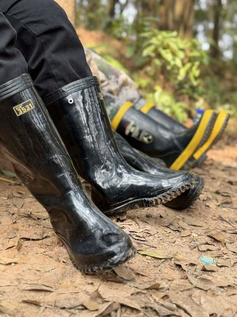 Ensignchan tweet media