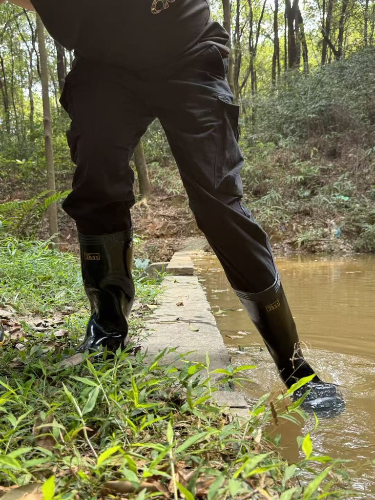 Ensignchan tweet media