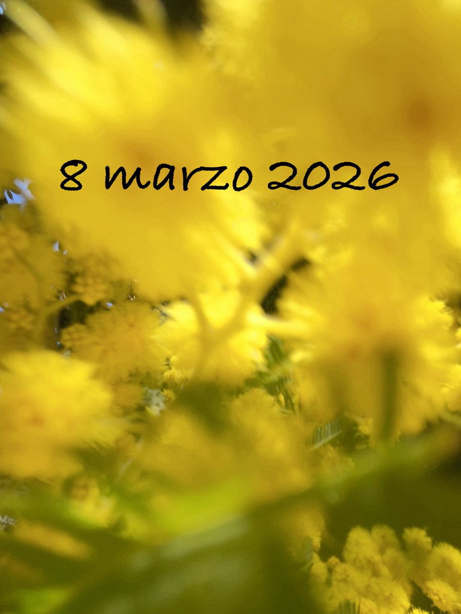 A tutte le donne che lottano per i propri obiettivi, che sostengono gli altri, che trasformano le difficoltà in opportunità  🌼💛 che resistono e si impegnano, a tutte le donne del #popologiallo, a Paola e Alessandra, 8 marzo 2026 #giornatainternazionaledelladonna
