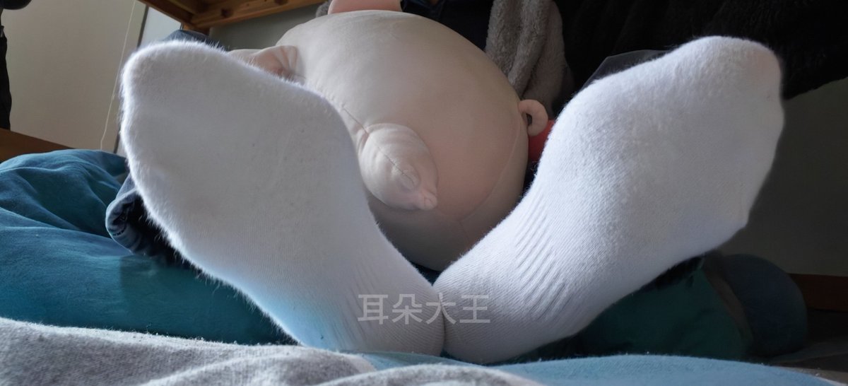 耳朵老大 tweet media