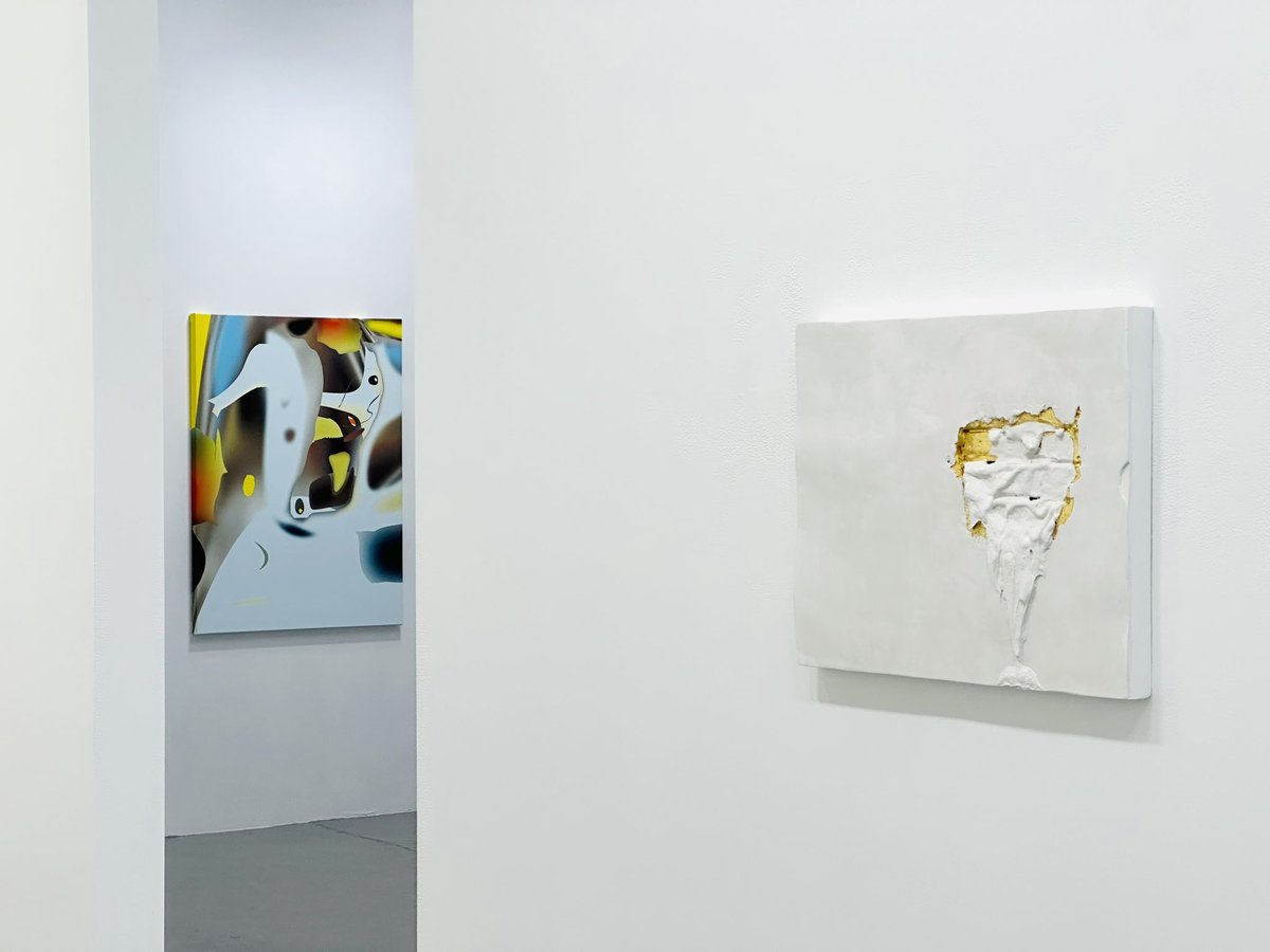 Bruno David Projects tweet media