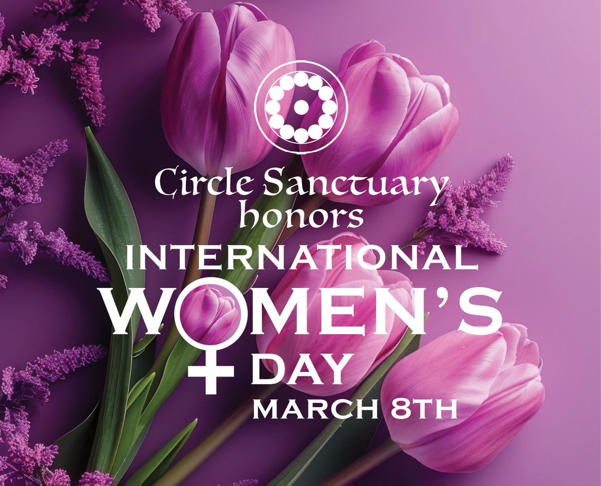 Selena Fox tweet media