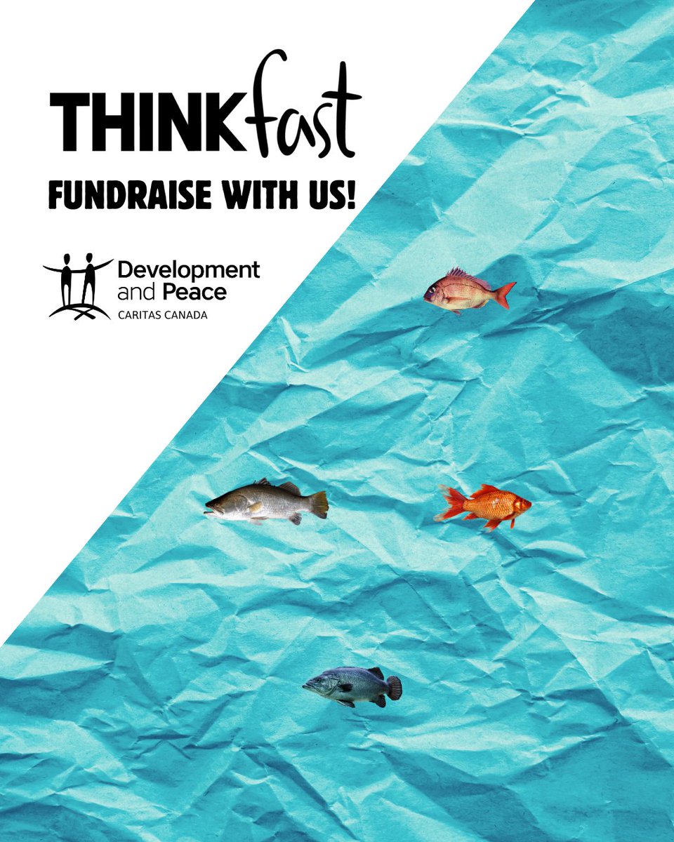 Development and Peace — Caritas Canada tweet media